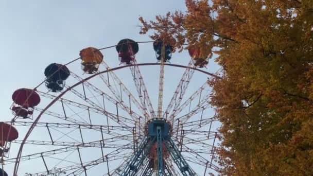 Attractions in the autumn park - Footage, Video