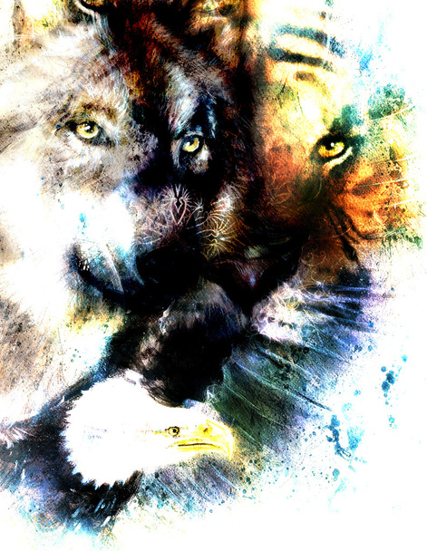 Gemälde von Adler und Tiger mit Wolf, abstrakter Hintergrund, Farbe mit Fleckstrukturen - Foto, Bild