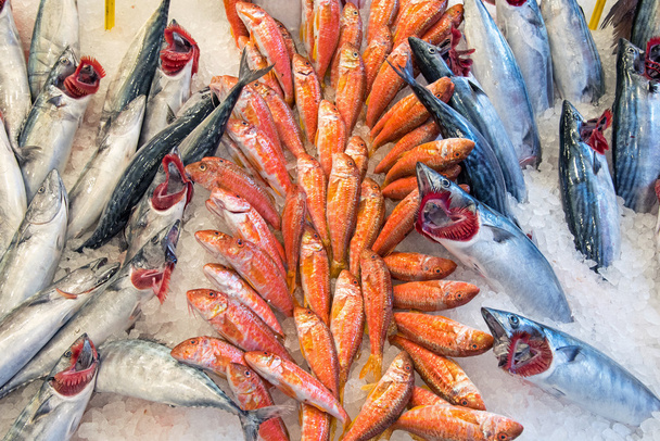 Fresh fish offer at a market - Photo, Image