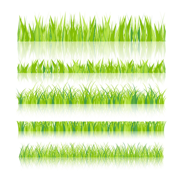 Vector illustration. Set with realistica grass. Nature. - Vektör, Görsel