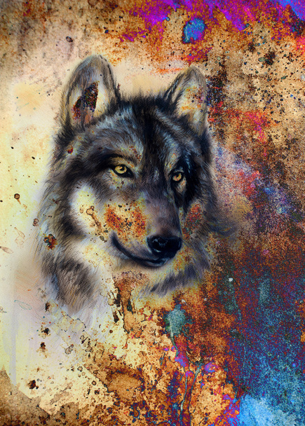 Wolf painting, color abstract effect on background - Φωτογραφία, εικόνα