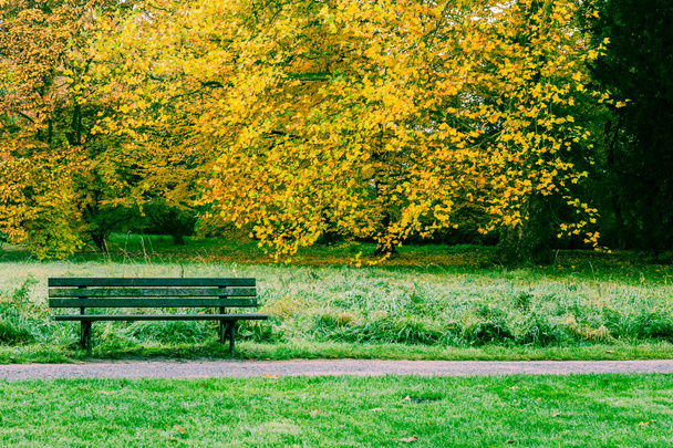 sonbahar park bankında - Fotoğraf, Görsel