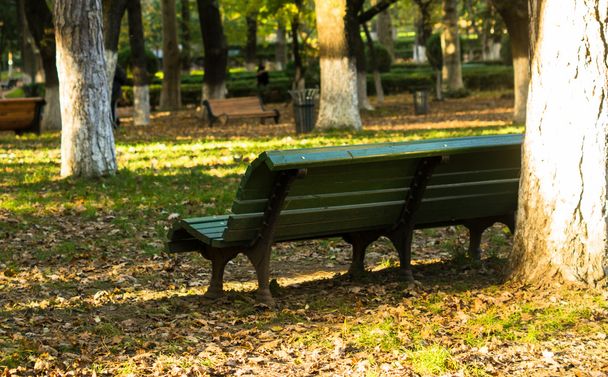 Lavička v parku podzimní - Fotografie, Obrázek
