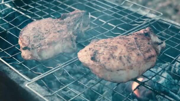 mięso wieprzowe z grilla na grilla - Materiał filmowy, wideo