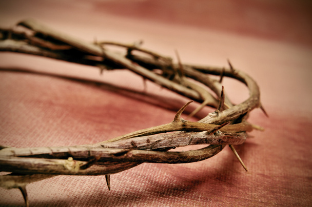 Ježíš Kristus trnová koruna - Fotografie, Obrázek