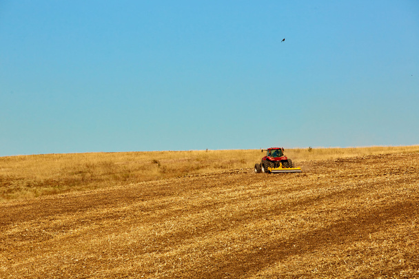Paisaje agrícola. Tractor trabajando en el campo
. - Foto, imagen