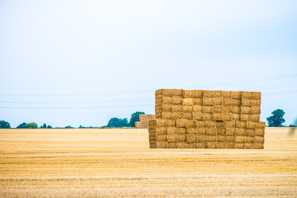 Large Pile of Hay Bales - Photo, Image