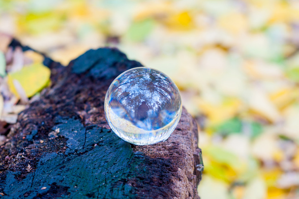 Скляний прозорий м'яч на марці з осіннім лісом На тлі. М'який фокус. З порожнім місцем для тексту
 - Фото, зображення