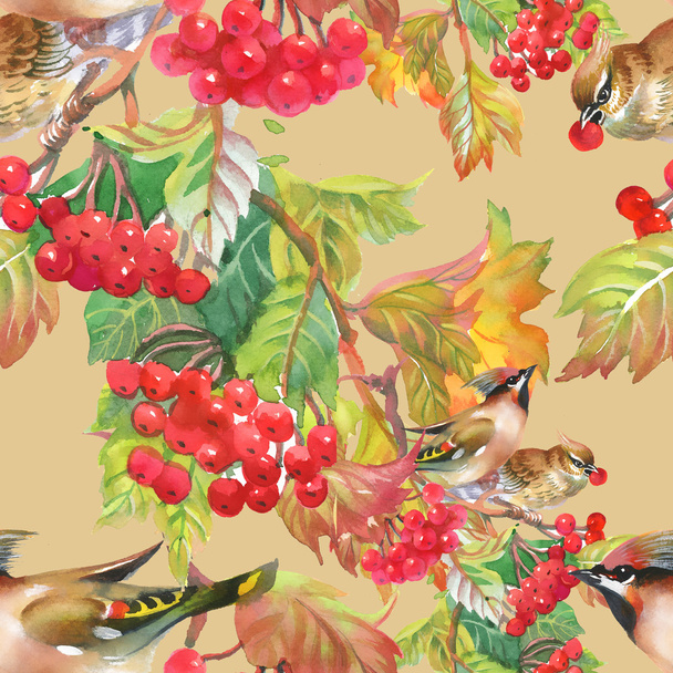 rowan berries with Hoopoe birds - Foto, Imagen