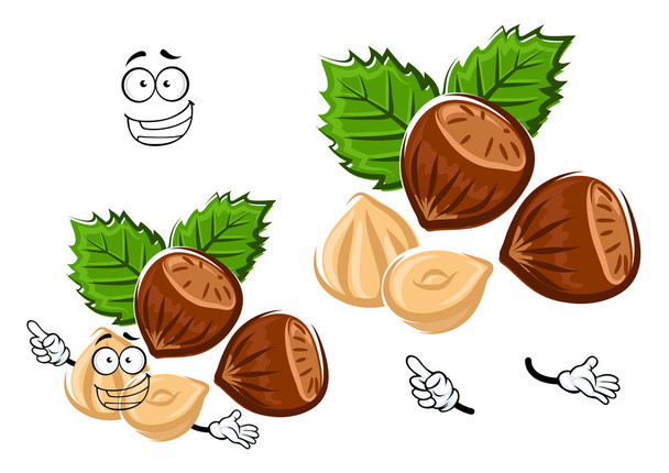 Caricature noisette isolée aux noix brunes
 - Vecteur, image