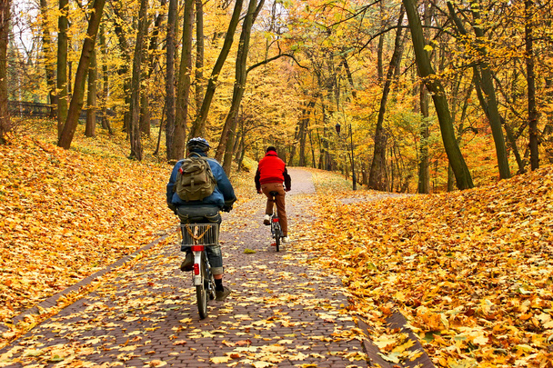 Les cyclistes roulent dans le parc en automne
 - Photo, image