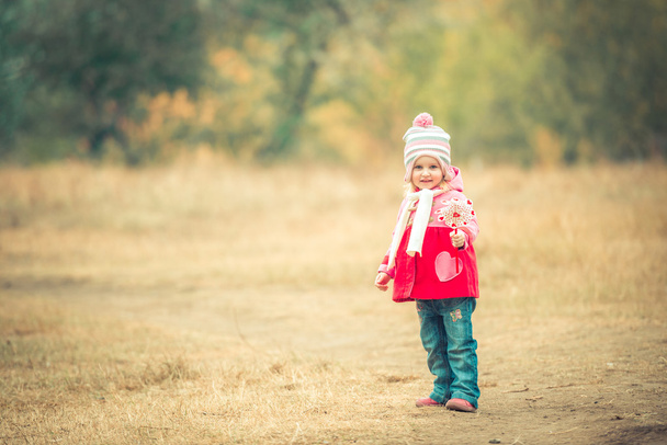 little smiling girl on autumn landscape - Фото, изображение