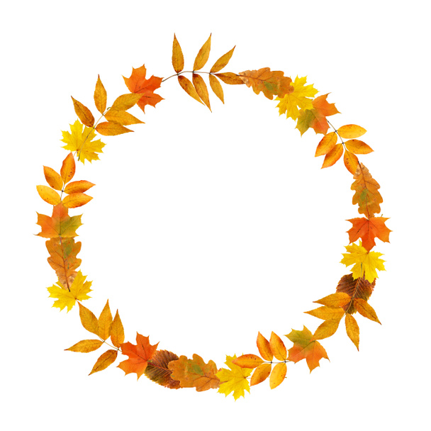 Anello foglie autunno
 - Foto, immagini