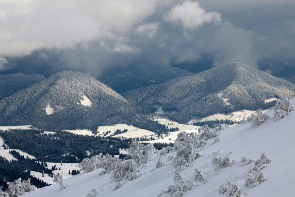 Winter in the mountains - Φωτογραφία, εικόνα