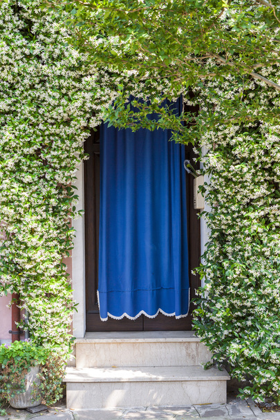 咲く植物で覆われた家の入口 - 写真・画像