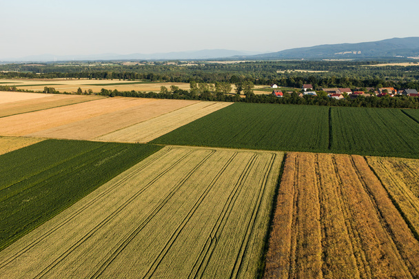 aerial view of harvest fields - Foto, Imagem