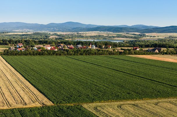 aerial view of harvest fields - Foto, Imagem