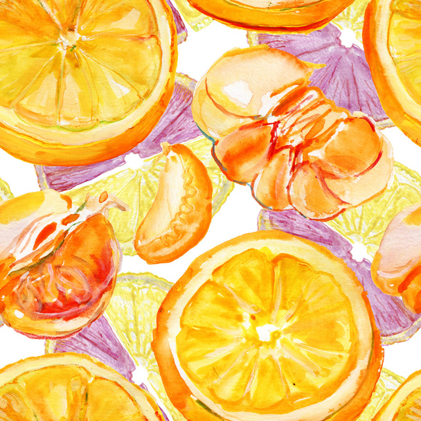 Hand drawn watercolor citrus fruits - Photo, Image