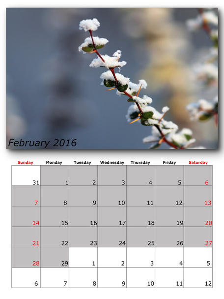 ημερολόγιο φύσης Φεβρουαρίου - Φωτογραφία, εικόνα