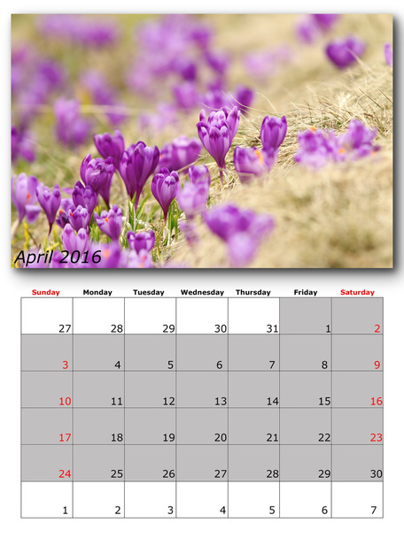 calendrier nature avril
 - Photo, image