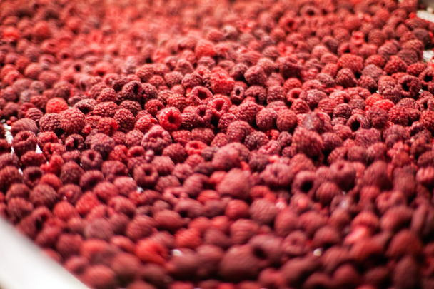 frozen raspberry processing business - Foto, afbeelding