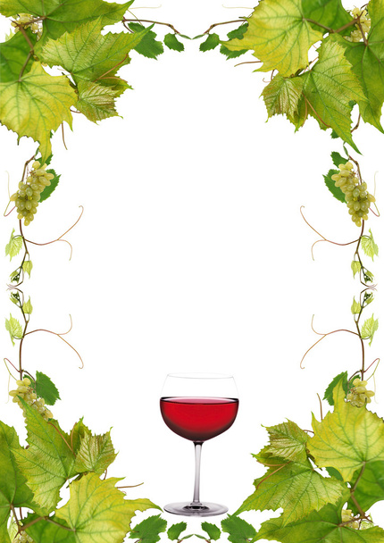 Lista de vinos - Foto, Imagen