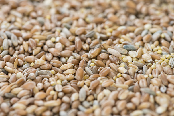 Cereals detailed close-up - Photo, image