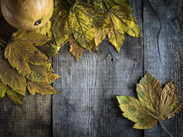 Autumn background with leaves - Φωτογραφία, εικόνα