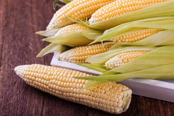 maíz. foto de cerca
 - Foto, imagen