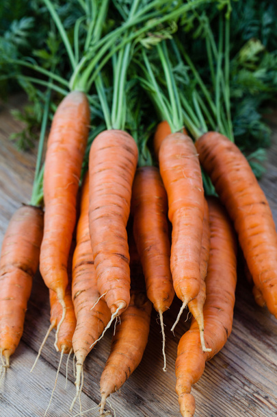 свіжа морква букет
 - Фото, зображення