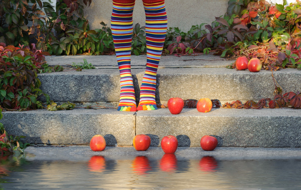 Füße in gestreiften Socken am Wasser. herum liegen Äpfel - Foto, Bild