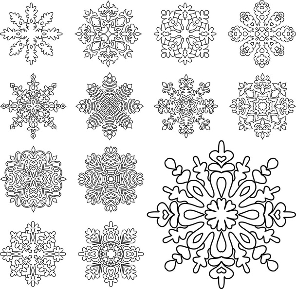 decorative winter snowflakes - Вектор, зображення