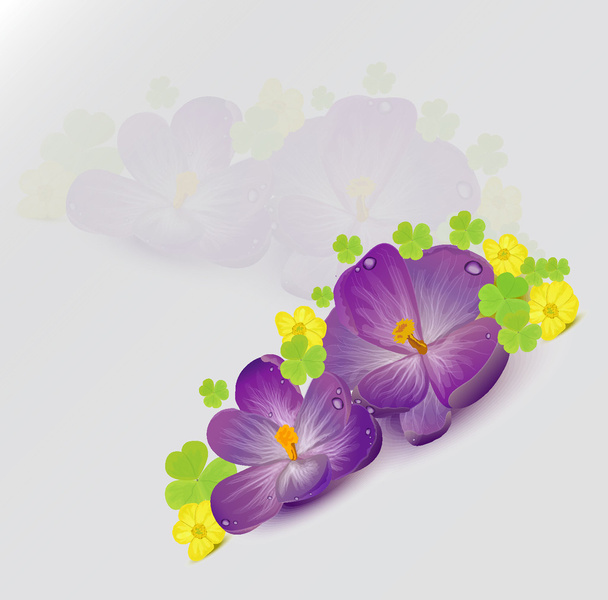 Krokussen en boterbloemen - Vector, afbeelding