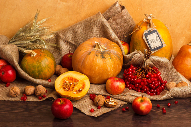 Thanksgiving Day pumpkin and apple - Valokuva, kuva