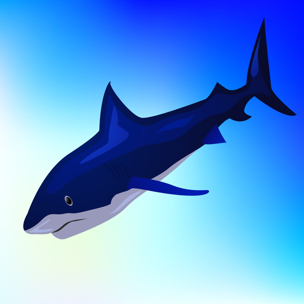 tiburón grande hambriento
 - Foto, imagen