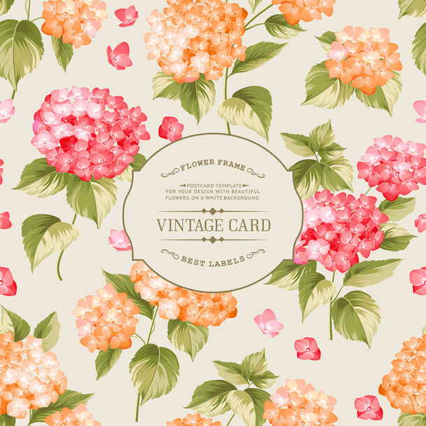 Vintage floral label. - Vector, Image
