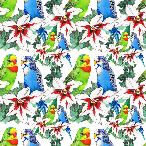 exotic parrots birds background - Фото, зображення