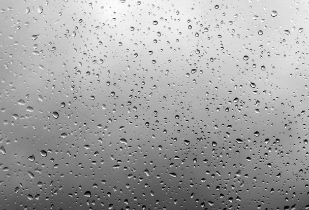 raindrops on the glass - Фото, изображение