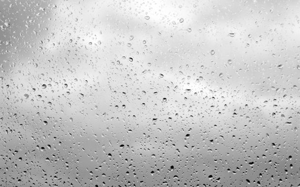 raindrops on the glass - Фото, изображение
