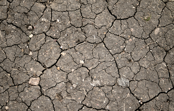 Fondo seco de tierra agrietada - Foto, Imagen