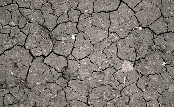 Fondo seco de tierra agrietada - Foto, Imagen