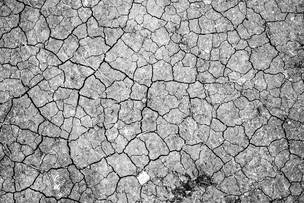 Terre fissurée sèche fond - Photo, image