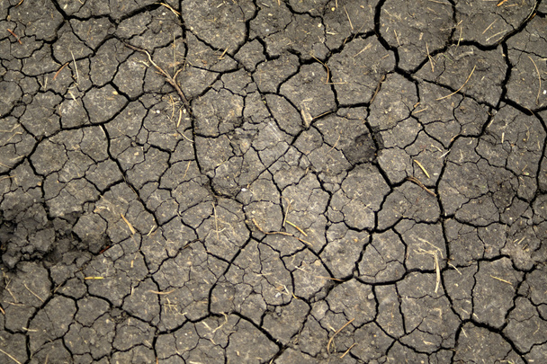 Dry cracked earth background - Photo, Image