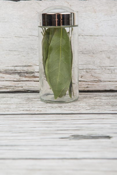 Dried Laurel Leaves - Foto, afbeelding