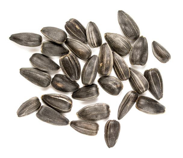 semillas de girasol negro primer plano
 - Foto, imagen