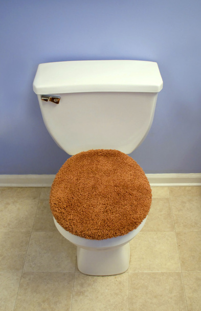 Toilet - Photo, Image