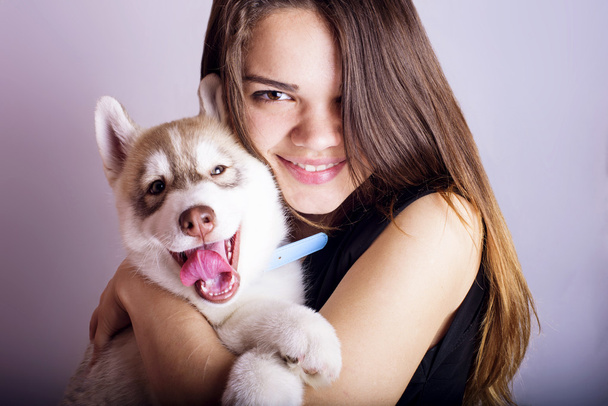 young caucasian female playing with a puppy, girl and siberian husky studio shot on grey background - Fotografie, Obrázek