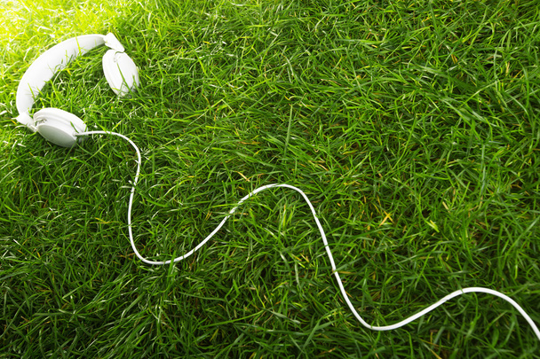 White music earphones over green grass, studio shot - Foto, Bild