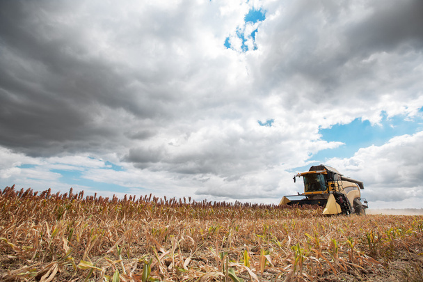 Combine harvester on farm field - Photo, Image
