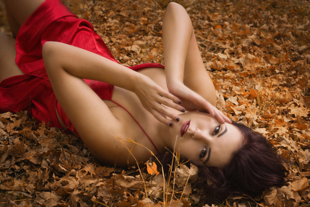 Girl in a red dress in the autumn forest - Фото, зображення